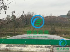 黑膜沼气池优缺点的权威解读
